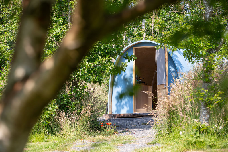 Glamping Lake District Walney Pods Yurts Camping Campsite